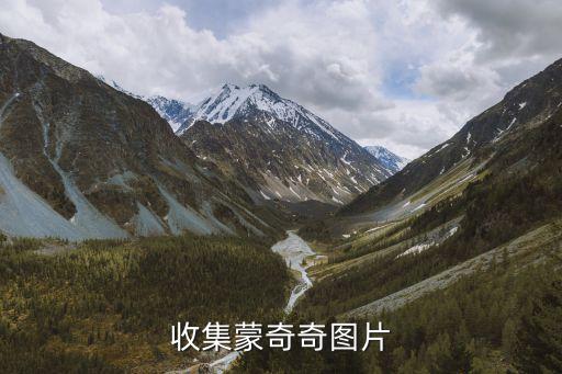 九肚鱼图片，带有LAINKA的图片