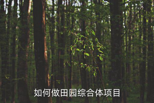 农业综合体怎么设计，田园综合体该怎么做