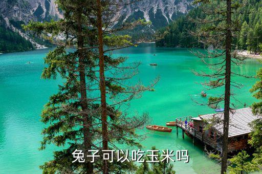 兔子可以吃玉米吗，兔子吃玉米吗