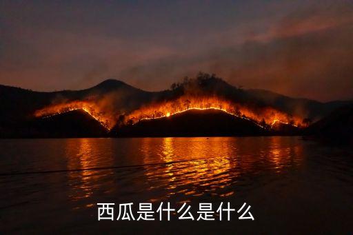 西瓜简介，西瓜是什么