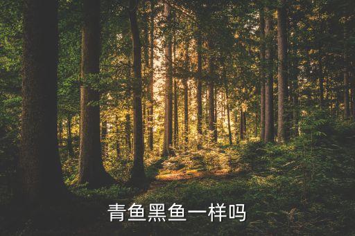 乌鱼和黑鱼一样吗，黑乌鲤鱼和黑鱼是同一种鱼吗