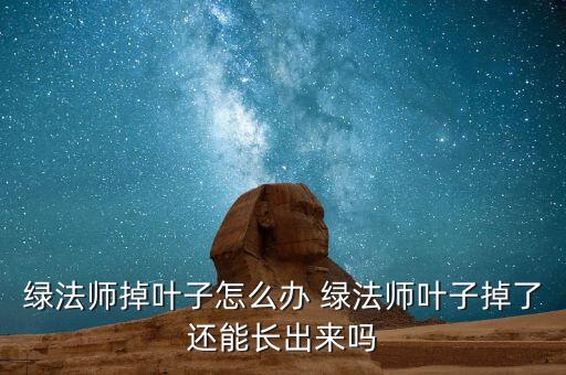 绿法师，绿法师掉叶子怎么办 绿法师叶子掉了还能长出来吗