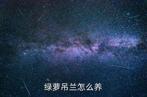 绿萝吊兰怎么养