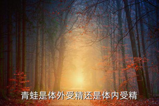青蛙是体外受精还是体内受精