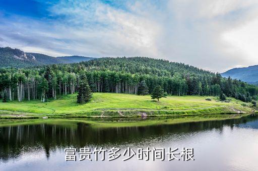 富贵竹多久生根，富贵竹多少时间长根