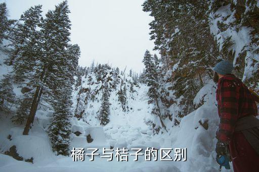 橘子与桔子的区别