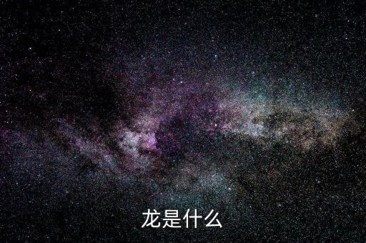 龙是什么