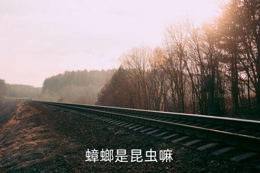 蟑螂是昆虫嘛
