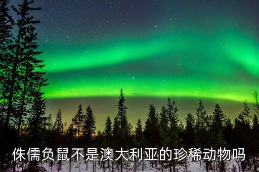 负鼠图片，有什么动物和负鼠具有相同特点