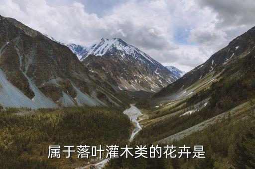 属于落叶灌木类的花卉是