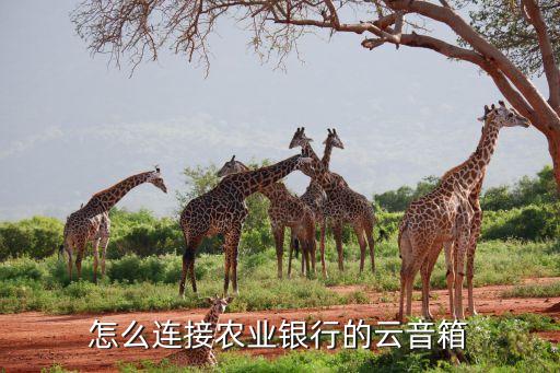 怎么连接农业银行的云音箱
