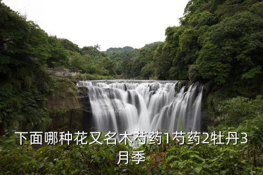 木芍药，下面哪种花又名木芍药1芍药2牡丹3月季