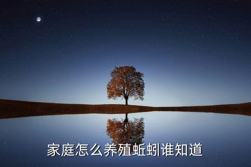 怎样养蚯蚓，怎么养蚯蚓