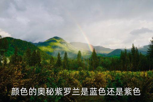 紫罗兰图片，颜色的奥秘紫罗兰是蓝色还是紫色