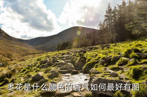 枣树开花图片，枣开花时是什么颜色