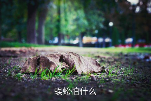蜈蚣害怕什么，蜈蚣怕什么