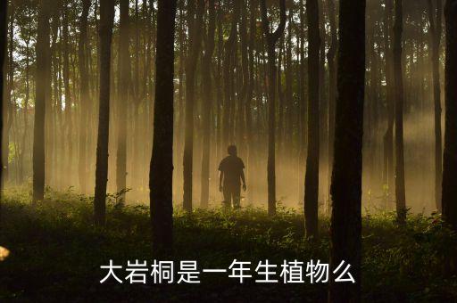 大岩桐，你知道大岩桐是怎样的