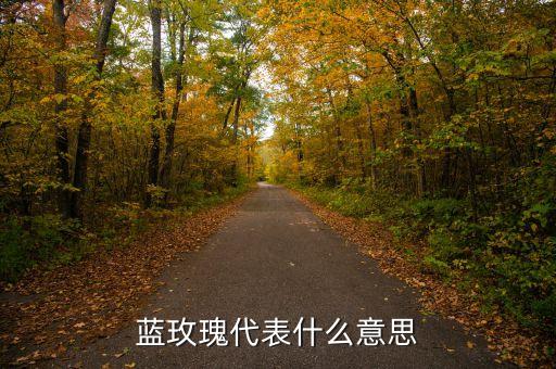 蓝玫瑰代表什么意思