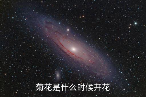 菊花花期，菊花的开花期是什么时候