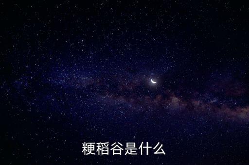 粳稻谷是什么