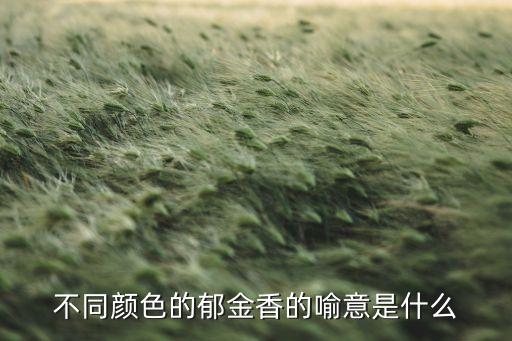郁金香代表什么，各种颜色的郁金香的花语都是什么