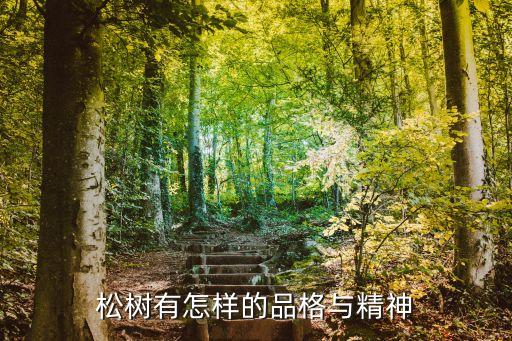 松树有怎样的品格与精神