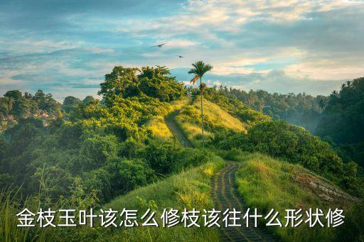 金枝玉叶如何造型，金枝玉叶怎样修剪成型