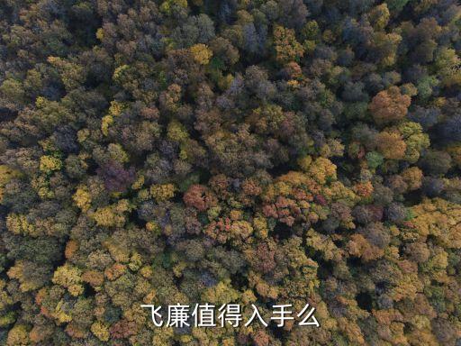 飞廉，飞廉在紫微星宿中是什么意思