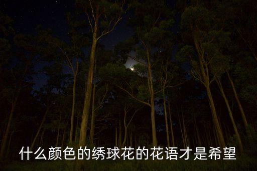 蓝色绣球花，雪蓝花和绣球花的区别