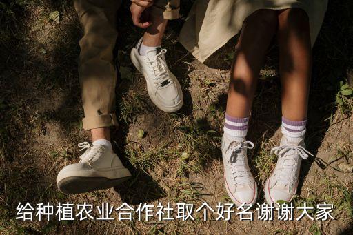 给种植农业合作社取个好名谢谢大家