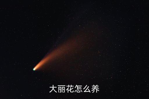 大丽花图片，大丽花怎么养