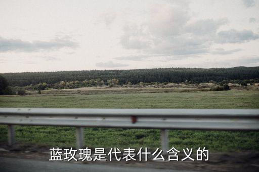蓝玫瑰代表什么，蓝玫瑰是代表什么含义的