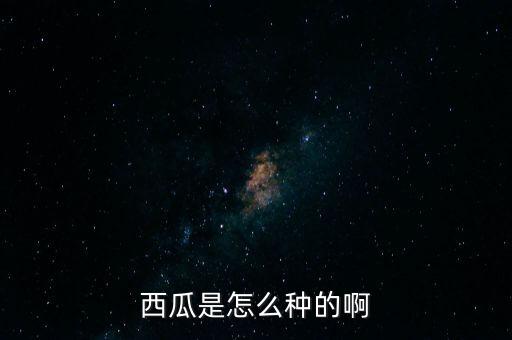 西瓜怎样育苗，西瓜苗怎么培育