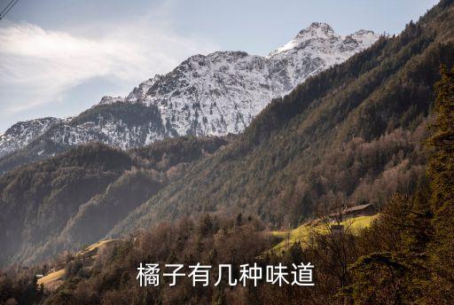 橘子的味道，橘子的气味是什么样的