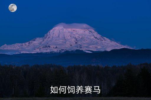 如何饲养赛马