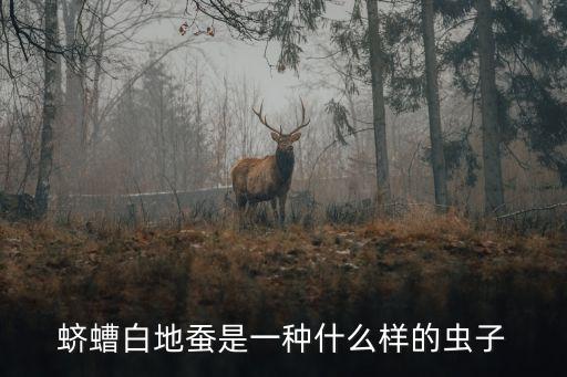 蛴螬成虫图片，鸡窝里面的蛴螬