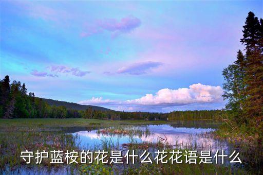 蓝桉的花语，蓝桉花语意思