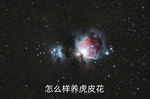 鹦鹉花，怎么样养虎皮花