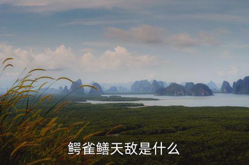 鳄雀鳝天敌是什么