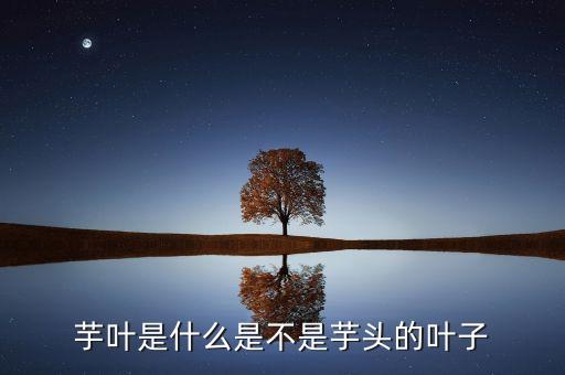 芋头叶子，芋叶是什么是不是芋头的叶子