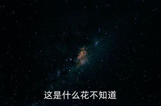 这是什么花不知道