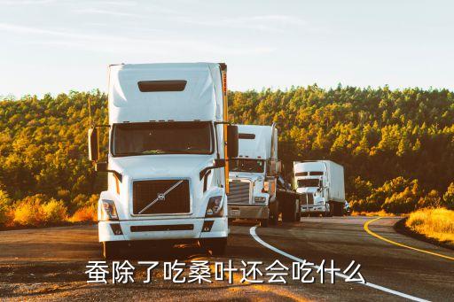 蚕除了吃桑叶还吃什么，蚕除了吃桑叶还会吃什么