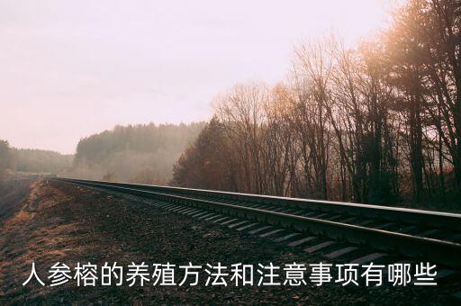 人参榕的养殖方法和注意事项有哪些