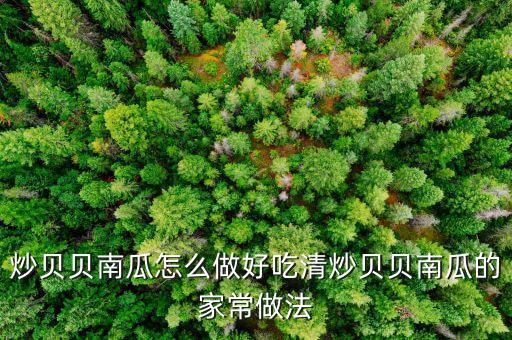 炒贝贝南瓜怎么做好吃清炒贝贝南瓜的家常做法