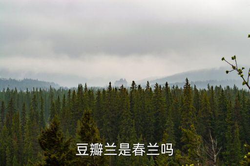 豆瓣兰，豆瓣兰是春兰吗