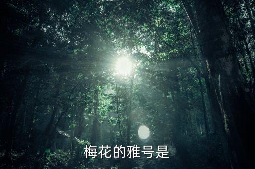梅花雅称，梅花的雅号是