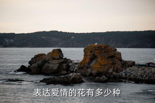 表达爱意的花，表达爱情的花有多少种