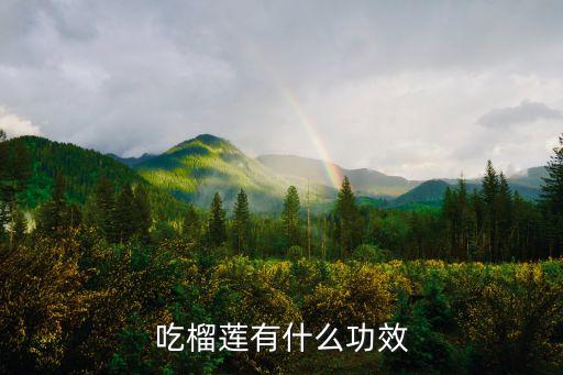 榴莲有什么功效，榴莲的好处有多少