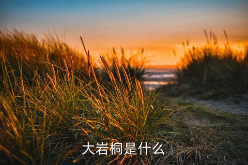 大岩桐是什么