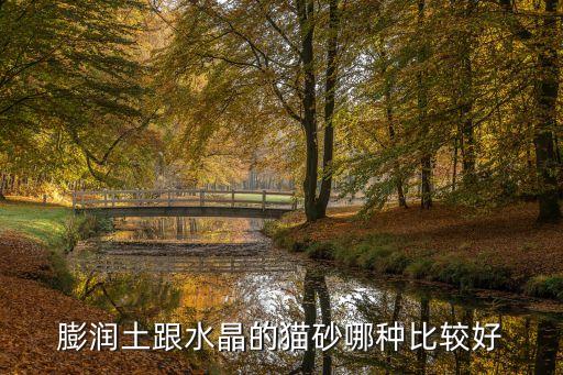 膨润土猫砂，膨润土跟水晶的猫砂哪种比较好